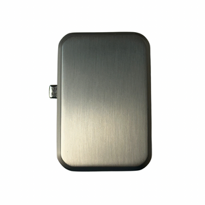 Rounded Modern Silver Buckle