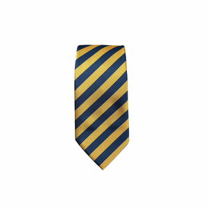 Mustard & Navy Striped Tie