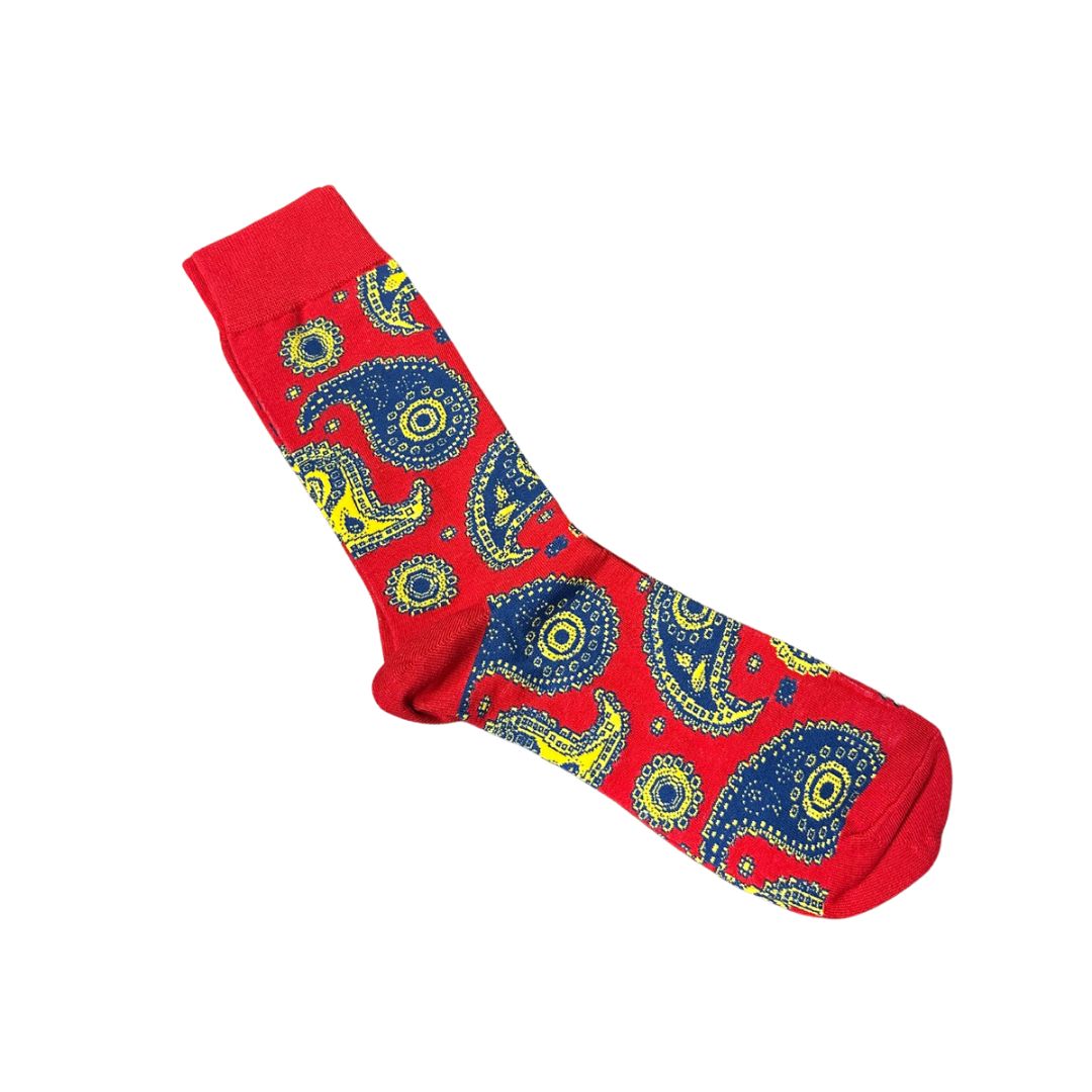 Red Multicolor Paisley Socks